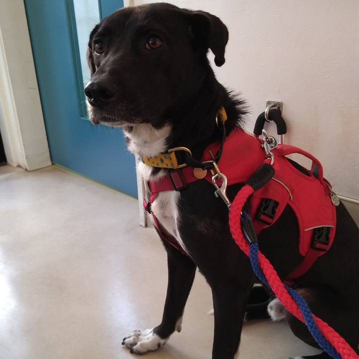 F0db5a88 8671 4833 beb4 e36a4555ba95 1585905073081