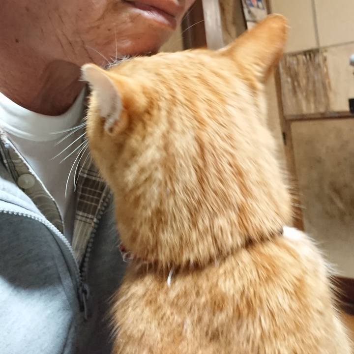 F0db65c2 9118 4dad b8dd 38035d2849f1 1605902382739