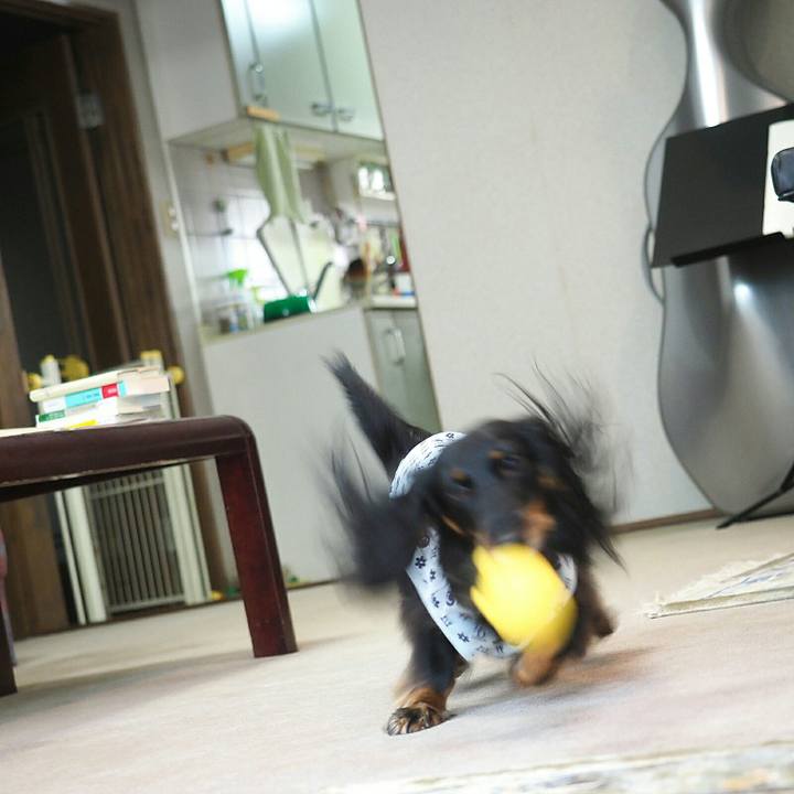 F0db8b76 71d6 4721 bfef 3f78a1950e24 1558835202945