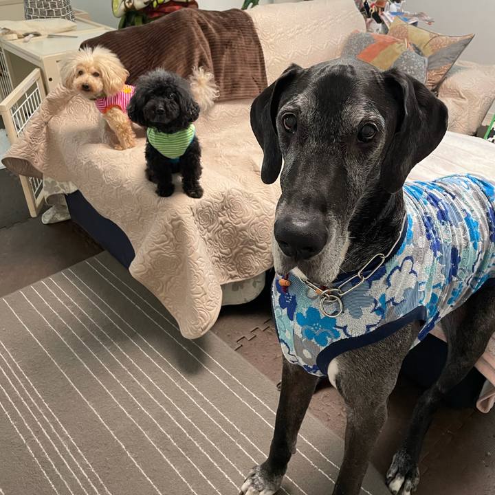 F0db9218 56c0 42e3 986c 27e797642fe3 1617317866561