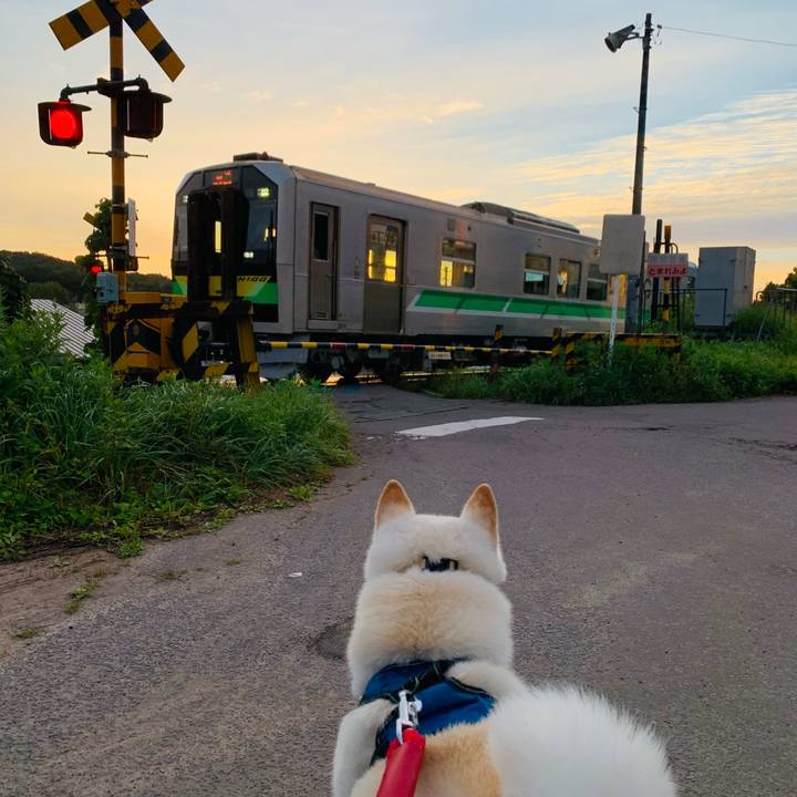 F0db9b00 5c69 4f44 8ec9 f1535720c4dc 1662151573387