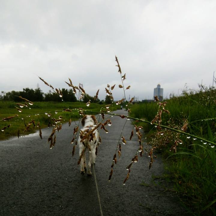 F0dba8f8 aa7a 4c73 aaec 4cf0bb8cdda6 1537579795342