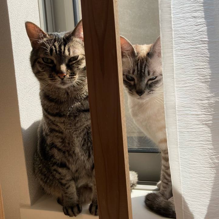 F0dbe688 4094 4de9 b90e 422432ebcb16 1616805304304