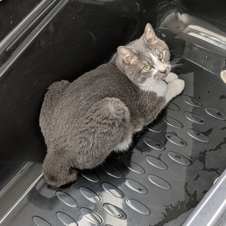 F0dbeb51 9066 46ba 880e 924e04cd7280 1745632419724