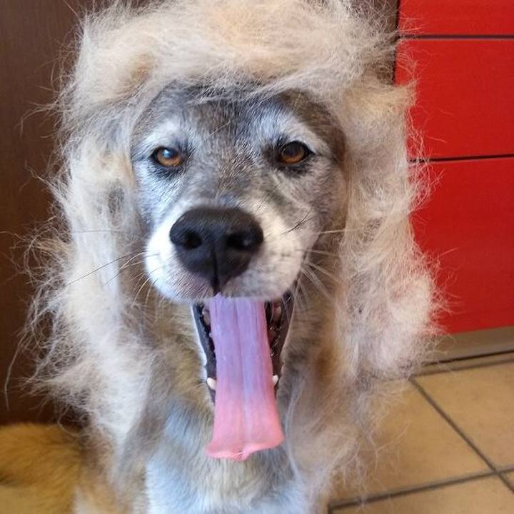 F0dc6ff2 3023 41de b9da cf62405362b3 1663116557598