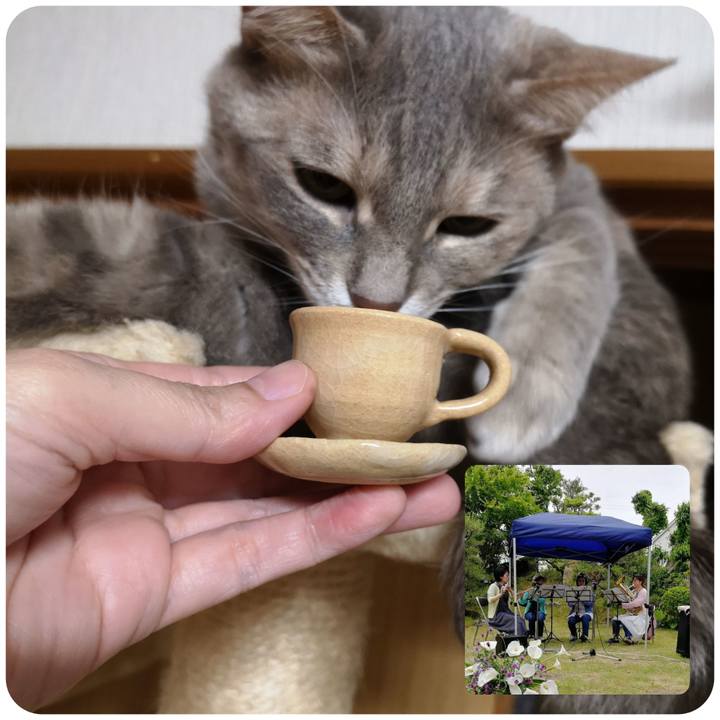 F0dc88c5 32dd 46f6 8733 1ab74cf78ebf 1558261889866