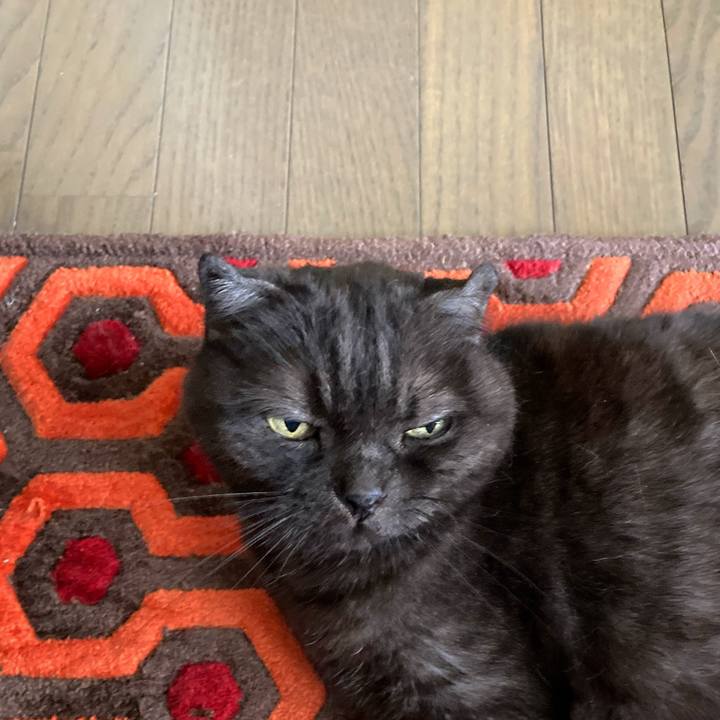 F0dce41f 62b8 4408 a905 258fcfe77c31 1591702772359