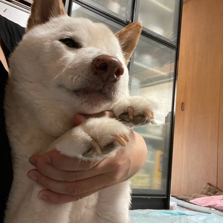 F0dce857 6af8 4c5c a16b 5ae4fa5e23e6 1634181768604