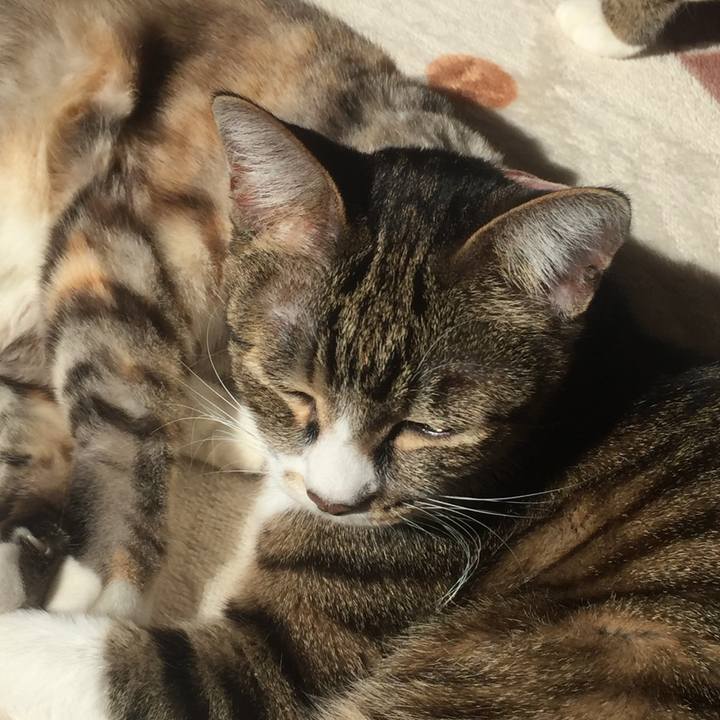 F0dd1024 d101 468f 81c8 92c88853ed26 1573957419129