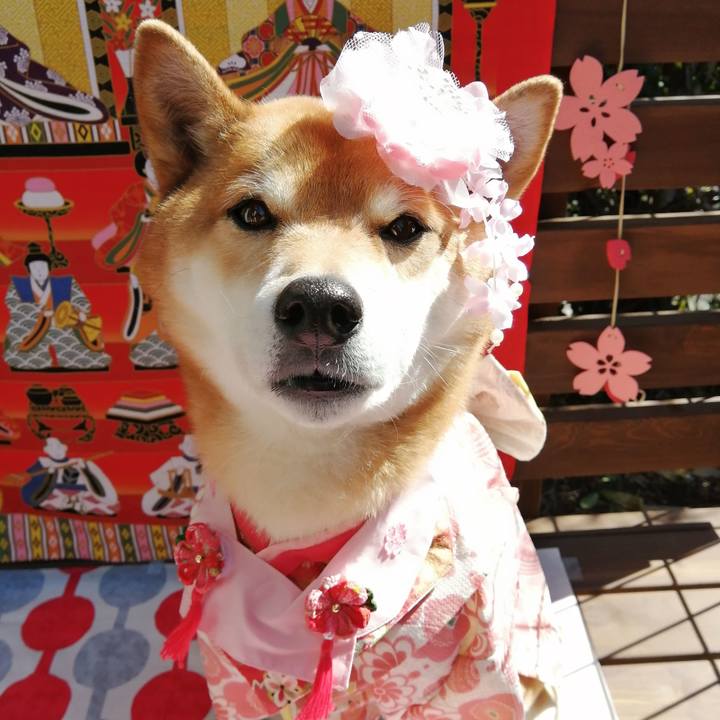 F0dd65f1 4fea 4d65 a33f 34698fa7022c 1614745767544