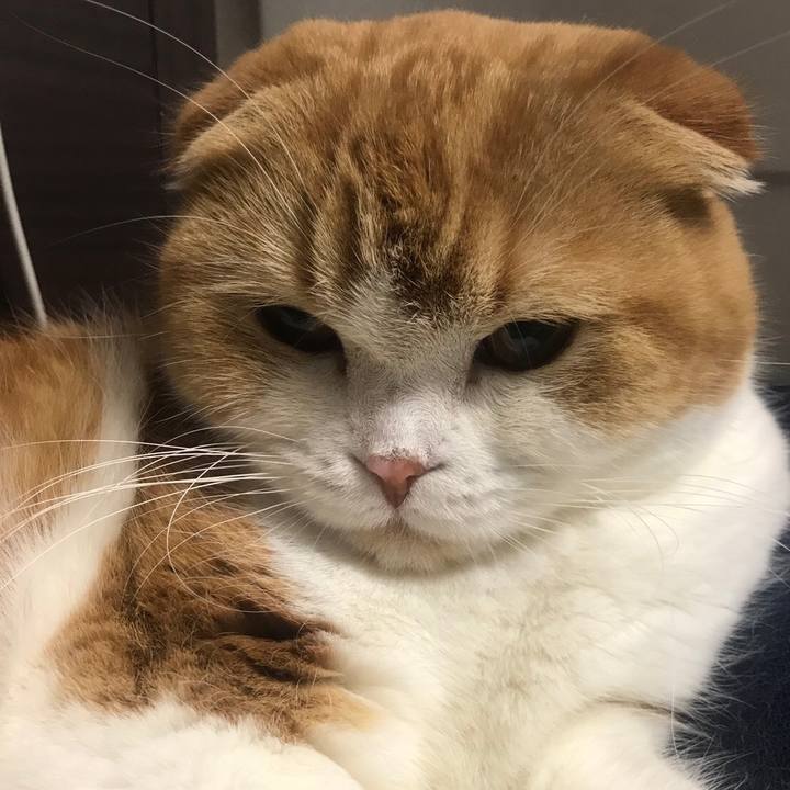 F0dda049 3471 4a79 a0c2 e3082f0c720a 1513651287650