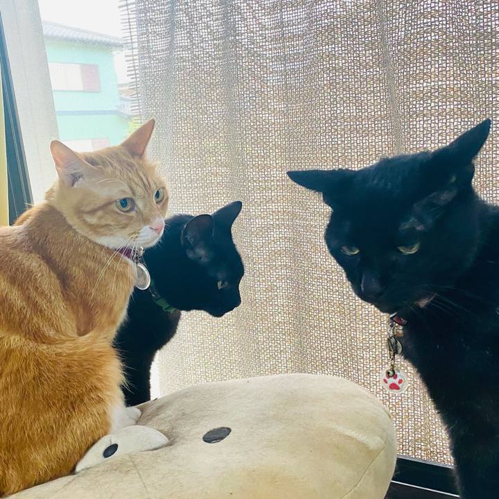 F0dda63d c534 45d5 b294 06b958e60ab5 1687386442069