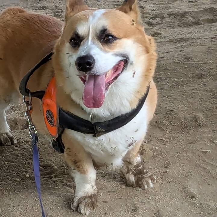 F0ddba28 ce19 421d 9591 14ded775d21e 1729668886016