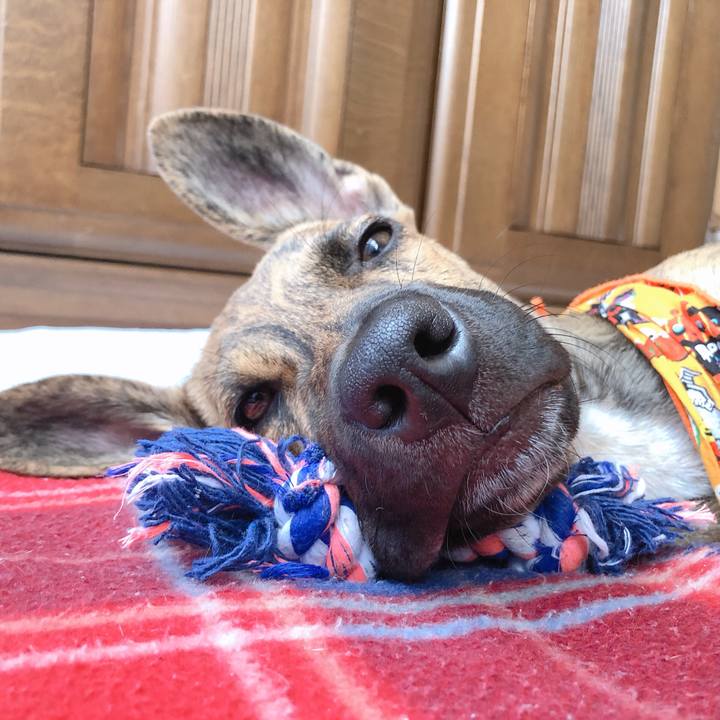 F0ddcb95 425a 4c31 8591 24a80e4aa144 1572430225459