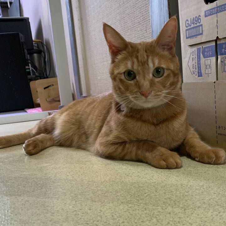 F0ddd387 f290 4e09 b0bf 64a17568d712 1660982350740