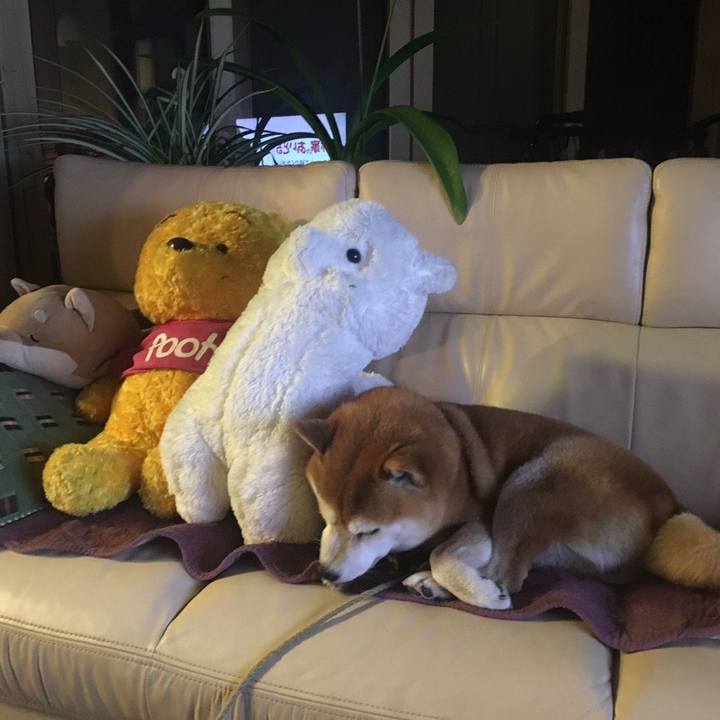 F0dde6ea 86bb 4d7b 9551 abb2062b1b60 1540980308193