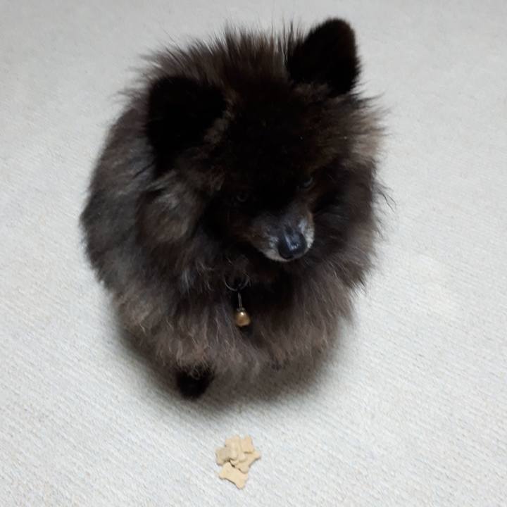 F0de0b74 a5f1 4d93 bebb 3baa43e9d5a1 1521924155878