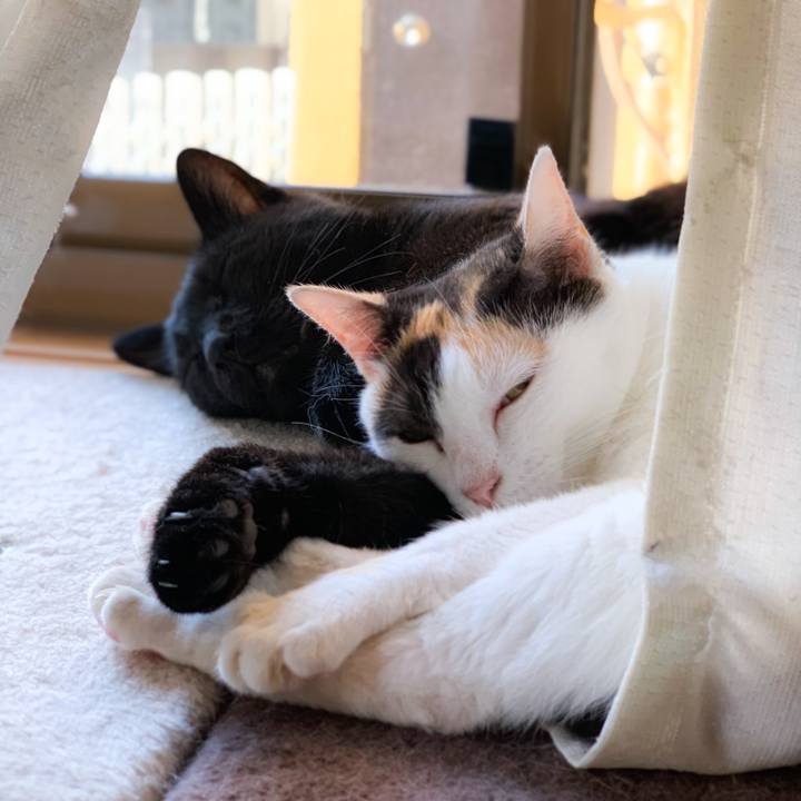 F0de3e31 0476 4228 a561 f68323a97fae 1568771869466