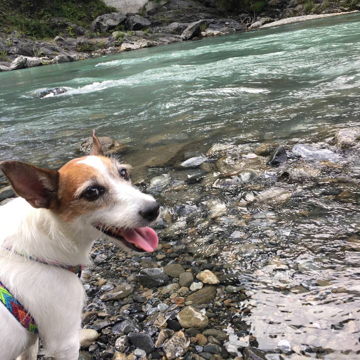 F0de4367 f714 430a a6a7 5d9d2374e068 1597619196402