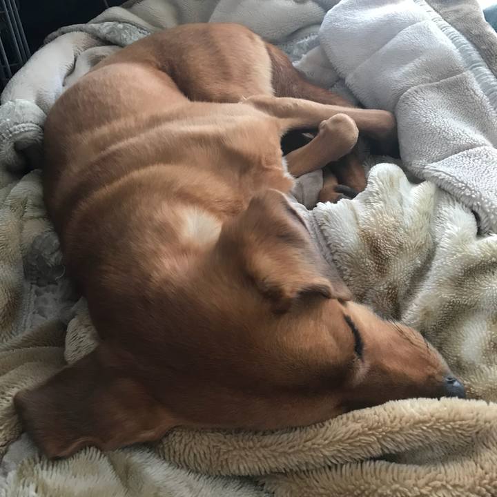 F0de644f 914a 4f43 91f2 bf38f1d00f8f 1510713777484