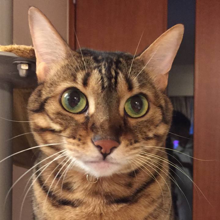 F0de67e6 b8cd 46a7 9c5b 2481a6522c0c 1540786233266