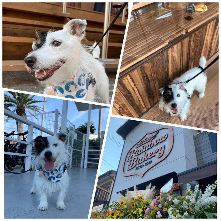 F0de8dbd 749b 444e 8504 56d869b5210f 1661587600244