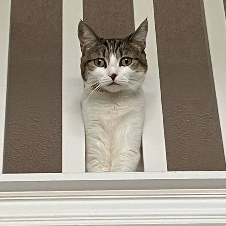 F0dec095 c4d2 4dbb 9960 8b69f9085eb4 1693578759031