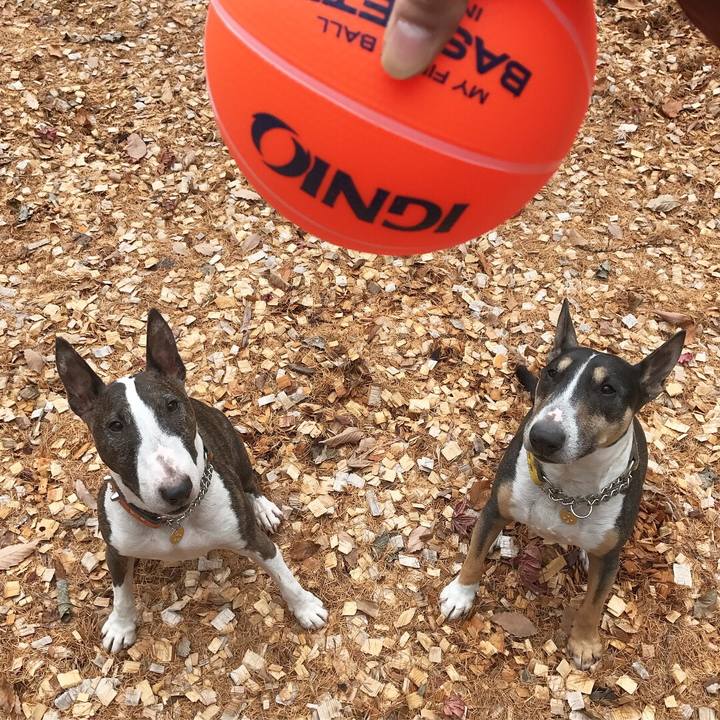 F0df2759 aaad 4ab5 8157 5e8b123fbf27 1510977813006