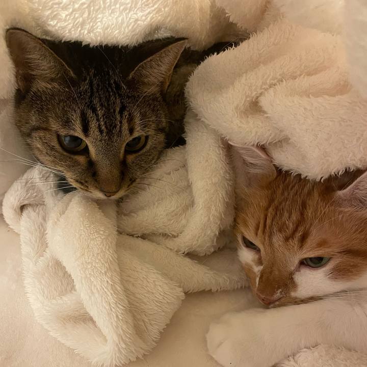 F0df2e14 4e74 4b31 be93 ef17c71b5cc0 1729507036033