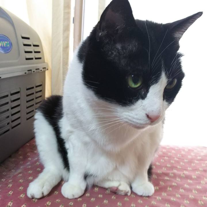 F0df3a8c 65d6 4d4f b12e ecd260797e09 1549850461560