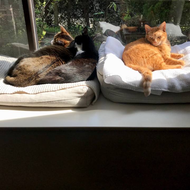 F0df913e af5a 453f a59a 6843a34ea729 1524043161202