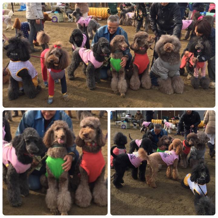 F0df96b7 bc5e 4498 b5e6 32fa5de8faa0 1511686439040