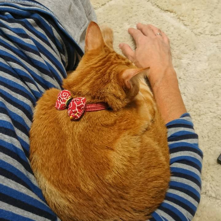 F0df9bee ee2d 44cc bbbb 87ba6cae6b61 1508553948347