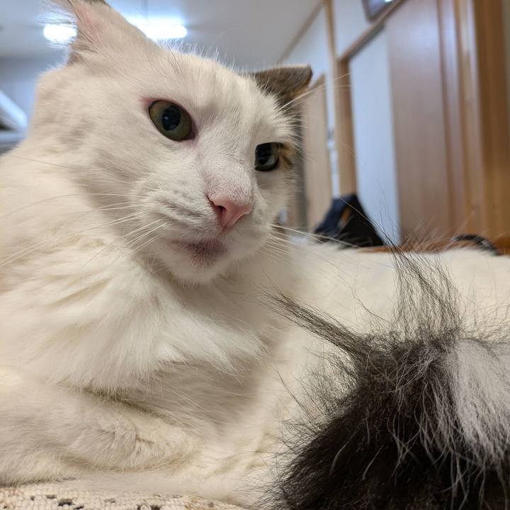 F0dfa433 3d15 4592 a1e7 3404c559d22c 1762517573974