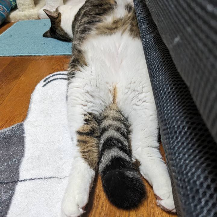 F0dfb868 dcc5 4c20 ac5f 73e0277be024 1693880885450