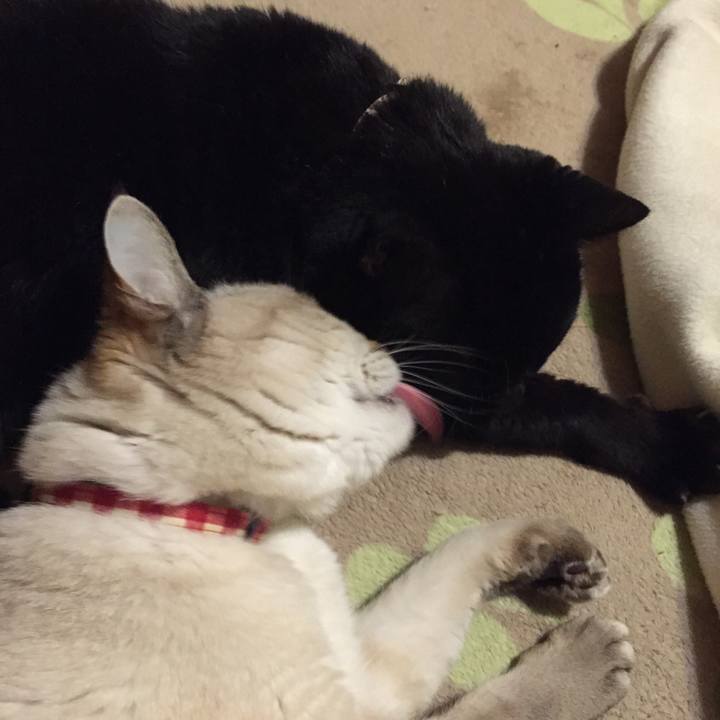 F0dfc141 67a7 4375 87bb 80e9cdccc5ff 1548585034617