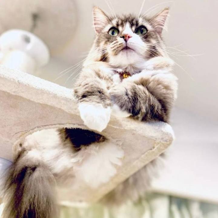 F0dfc24d 1fee 499c badf 65233e02f776 1756827388491