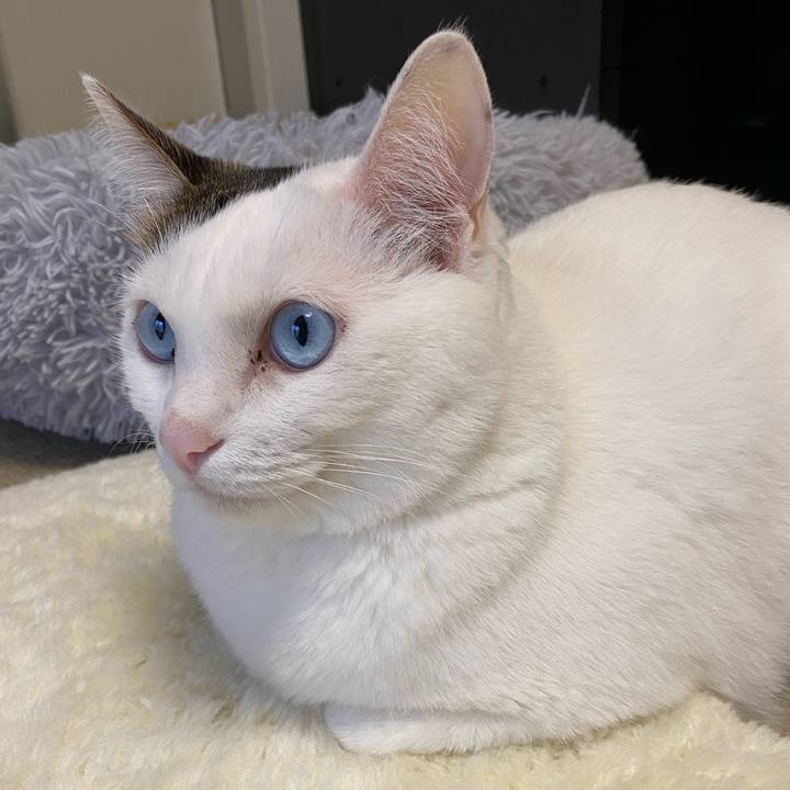 F0e004a0 249c 475c b221 8f9ae21ebd5f 1670279673721