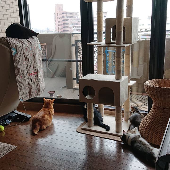 F0e0100d eb9e 4c0b be40 9033e1e7eb8a 1555458008353