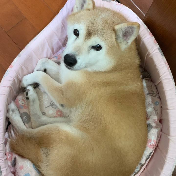 F0e02d7d dc3f 4322 8490 4fd595110fb8 1730278081524