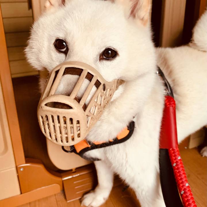 F0e056a7 c99f 466d b001 c24bfc1d0d13 1650229384380