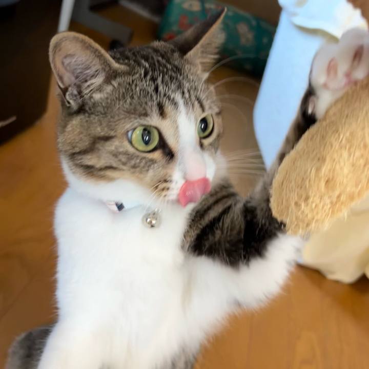 F0e0a949 5fae 43e2 b12b 0d21a7b4fb2c 1729414339629