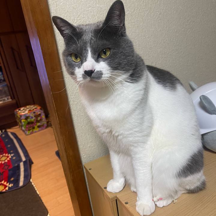 F0e0cbd1 f728 4125 9789 ce51cb7075a0 1681041259792