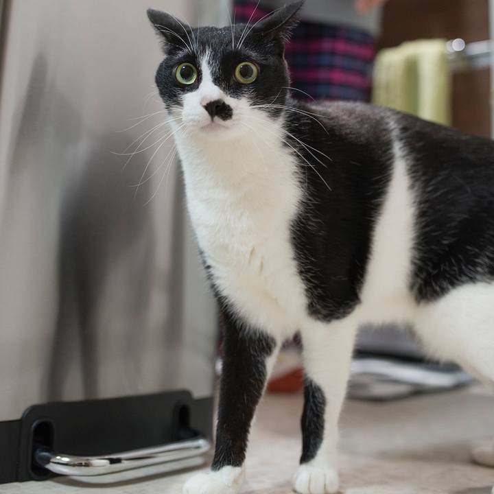 F0e0d34f e4f3 4bba 8b5a 3a00a0195e41 1527590294339