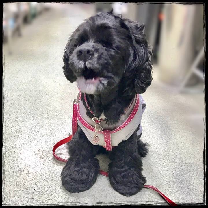 F0e10f8e 21e5 48c3 aef0 77cbbc66e37e 1525228594223