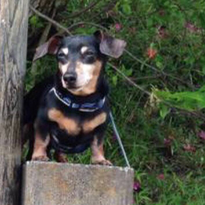 F0e10fa4 e441 4a7d 818e 5f486d11d1ed 1651554812400