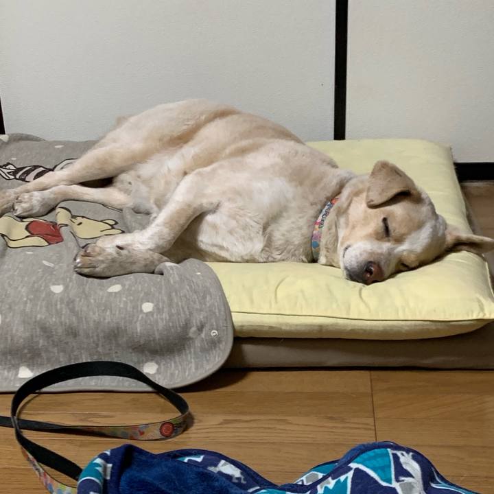 F0e111d4 796b 45ba b129 481aa6fc69e7 1548420899013