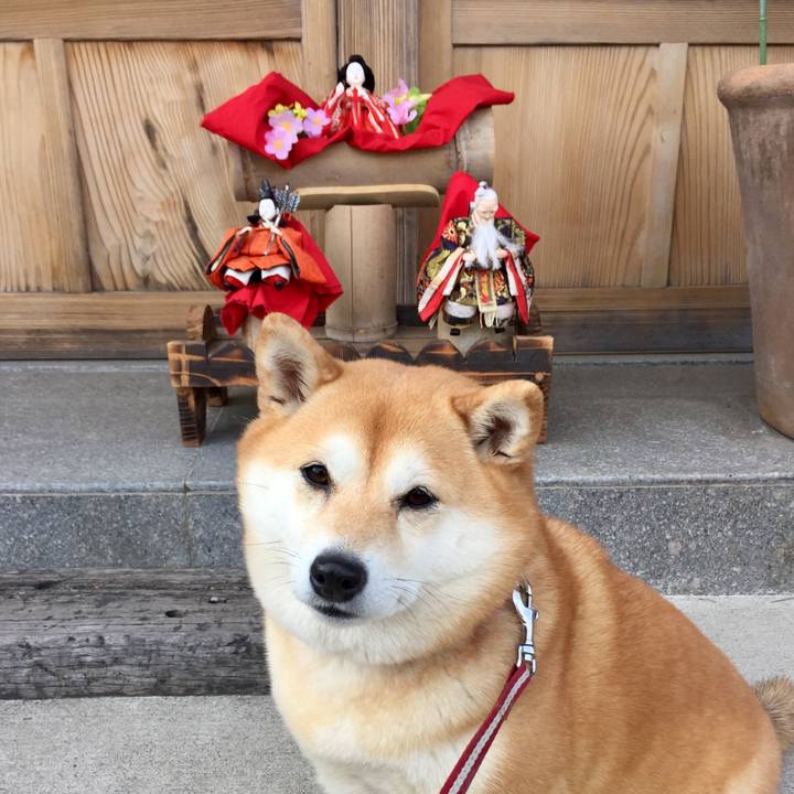 F0e1202b c8e1 4fee b52f fe88fc6f62d7 1551600720600