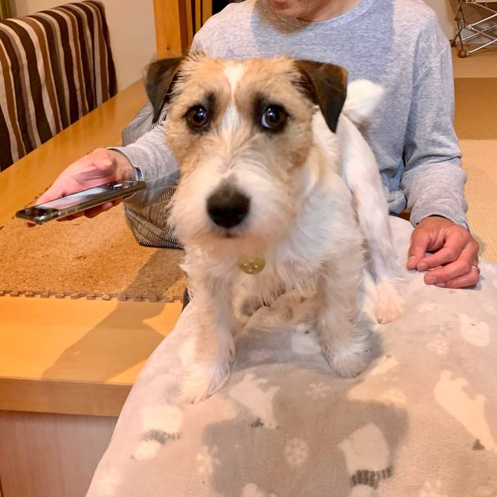 F0e1326a 317c 40b1 83f8 32f9bcb9c8d7 1620897546518