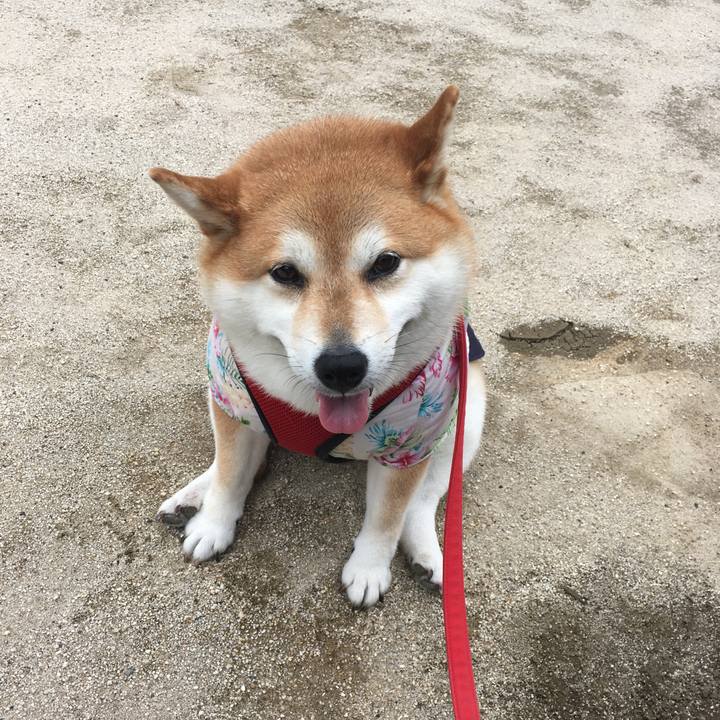 F0e144d7 50b9 4497 a969 1be61c4c059a 1593755906853